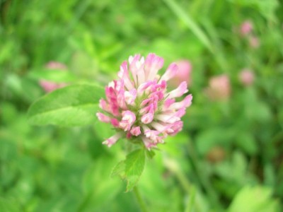 DSCN1790
