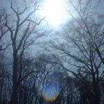 091226_blog