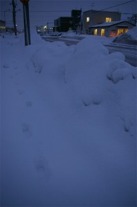 2010_01250022
