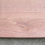 DSCN4897