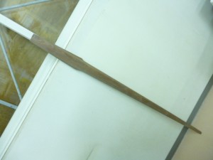 P1000419
