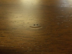 2013_04130004