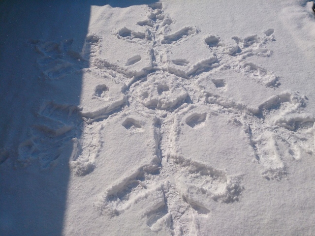 1398415006714 (640x480)
