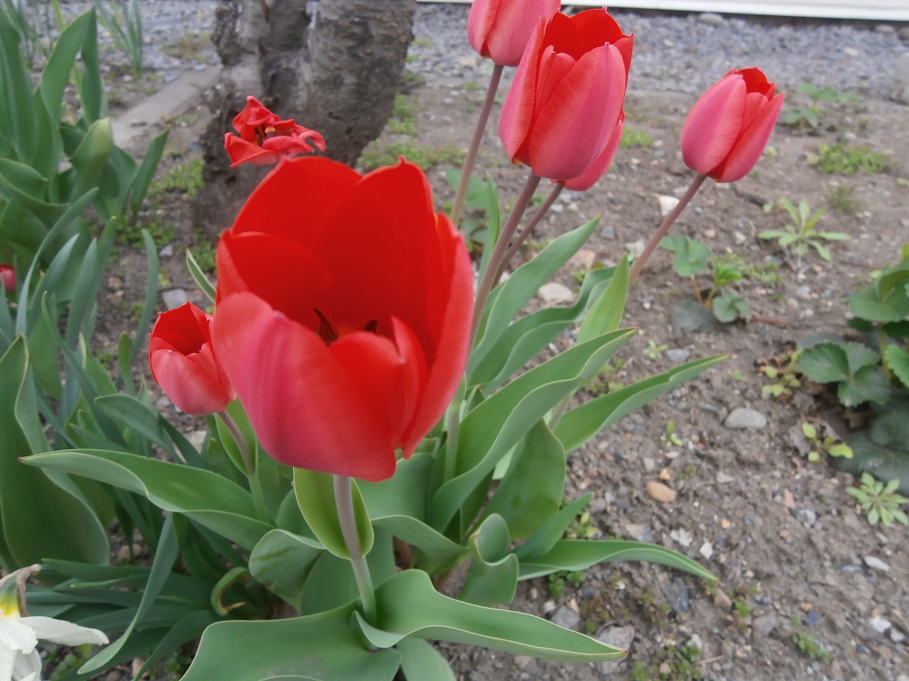 P5080097
