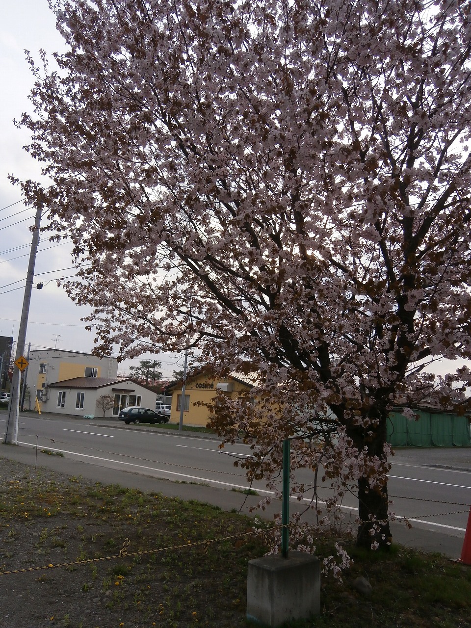 P5080101