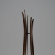 branch