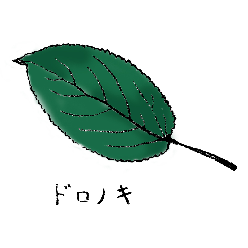 ドロノキ