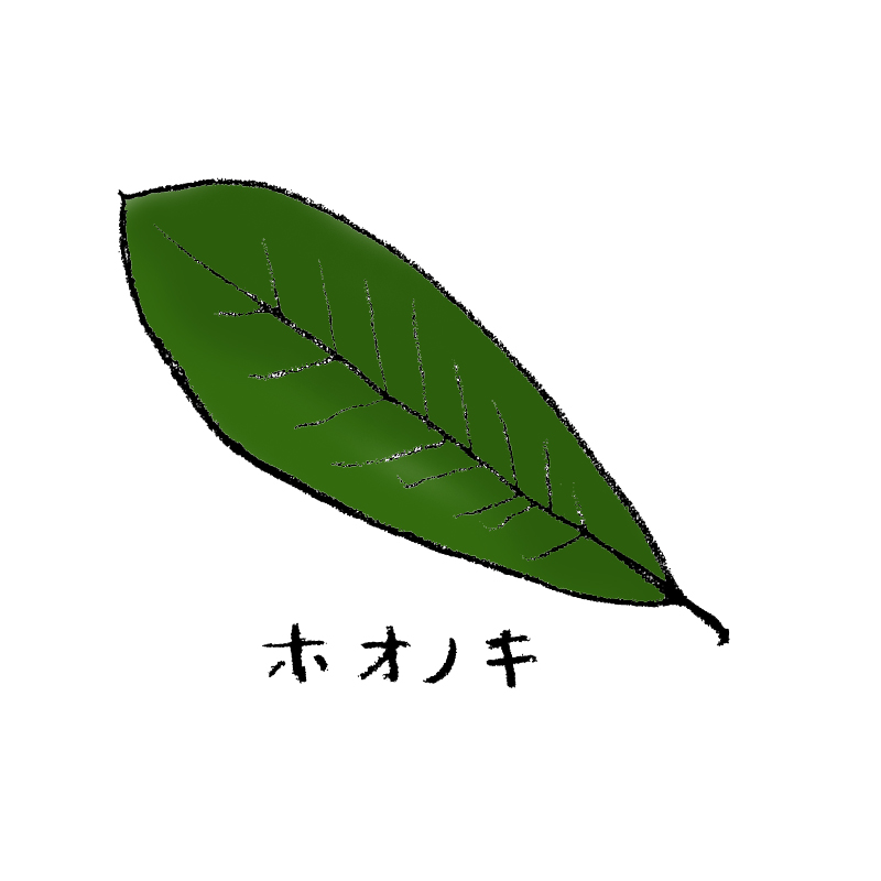 ホオノキ