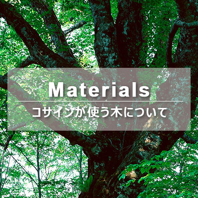 TREE　木について